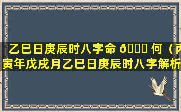 乙巳日庚辰时八字命 🐋 何（丙寅年戊戌月乙巳日庚辰时八字解析）